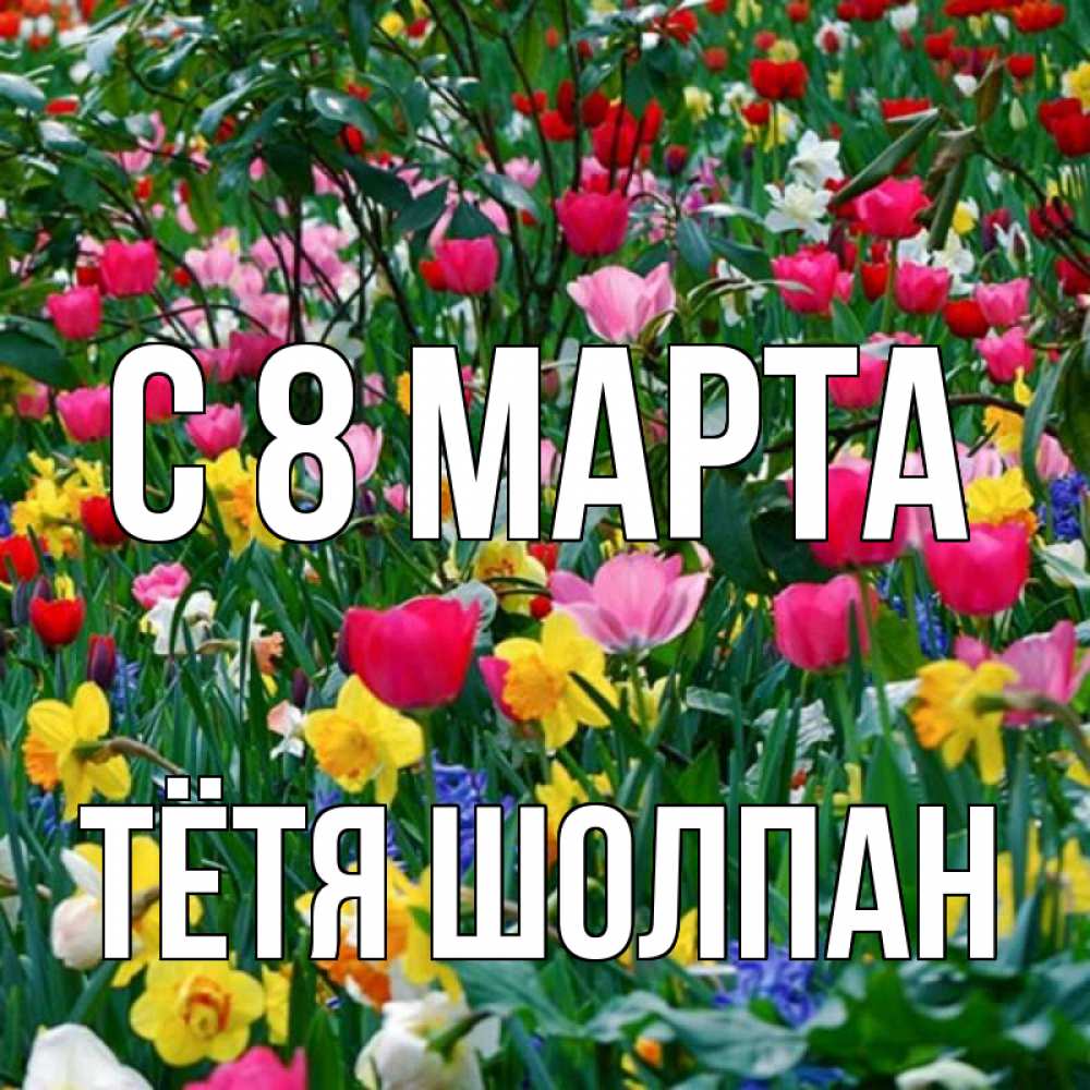 Открытка на каждый день с именем, Тётя-Шолпан С 8 МАРТА с международным женским днем поздравления для женщины Прикольная открытка с пожеланием онлайн скачать бесплатно 