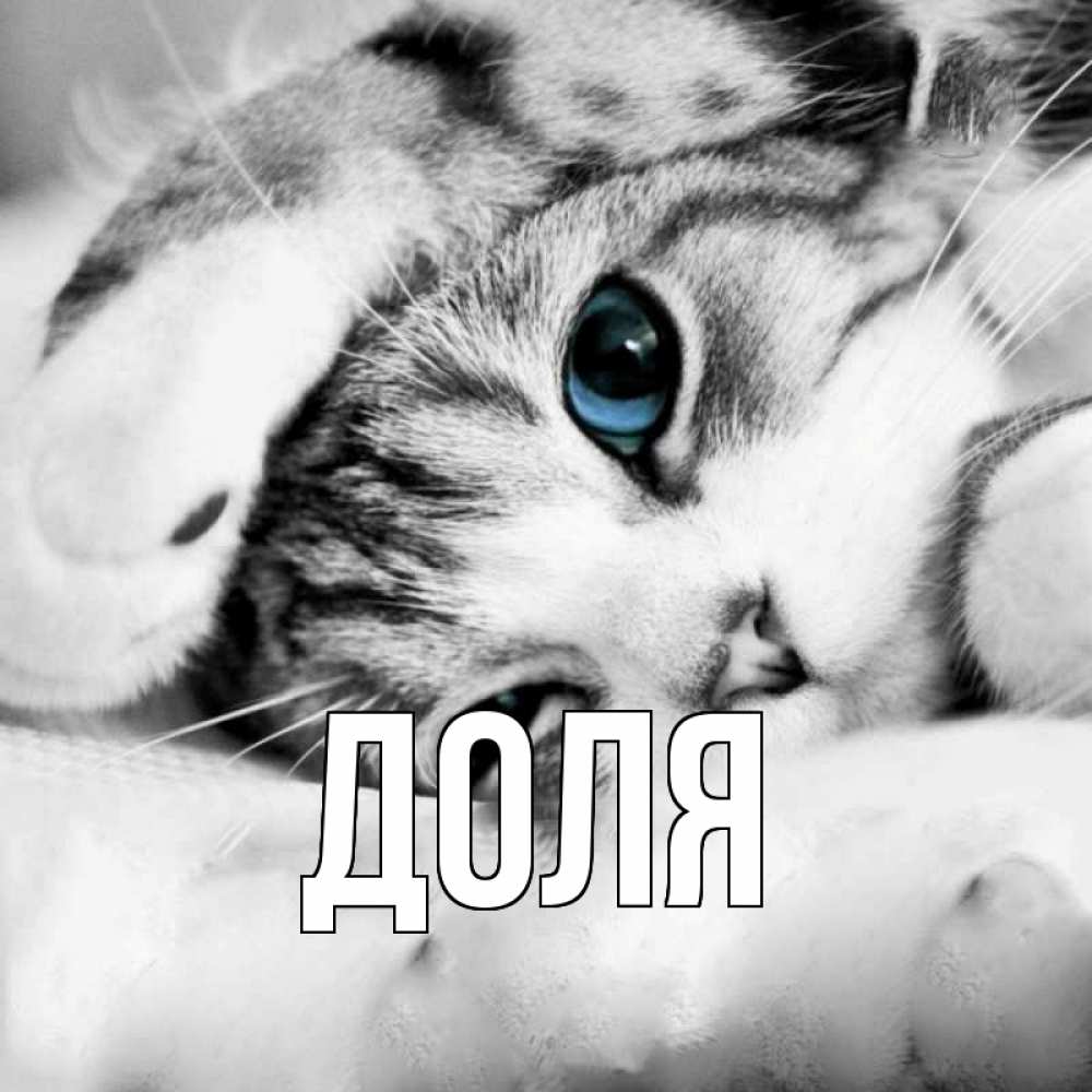 Открытка на каждый день с именем, Доля Главная кот устал Прикольная открытка с пожеланием онлайн скачать бесплатно 