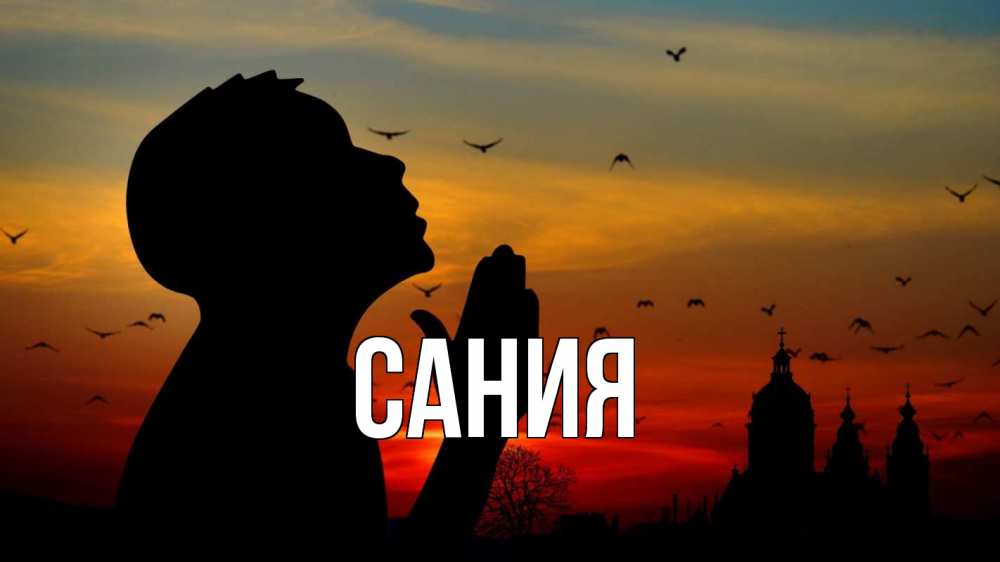 Открытка на каждый день с именем, Сания Главная прошу прощения Прикольная открытка с пожеланием онлайн скачать бесплатно 