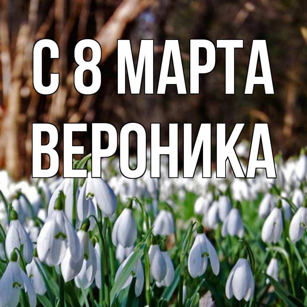 Открытка на каждый день с именем, вероника С 8 МАРТА с подснежниками 1 Прикольная открытка с пожеланием онлайн скачать бесплатно 