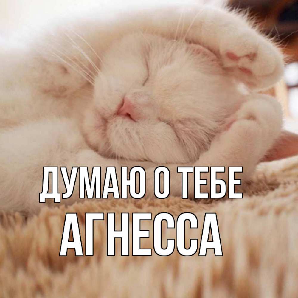 Открытка на каждый день с именем, Агнесса Думаю о тебе для любимой девушки милота Прикольная открытка с пожеланием онлайн скачать бесплатно 