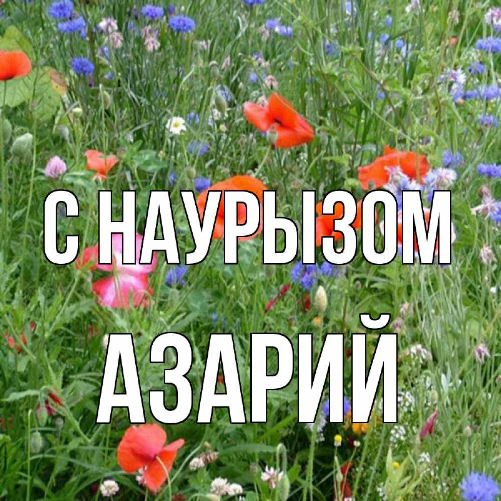 Открытка на каждый день с именем, Азарий С наурызом праздник весны наурыз супер открытка Прикольная открытка с пожеланием онлайн скачать бесплатно 
