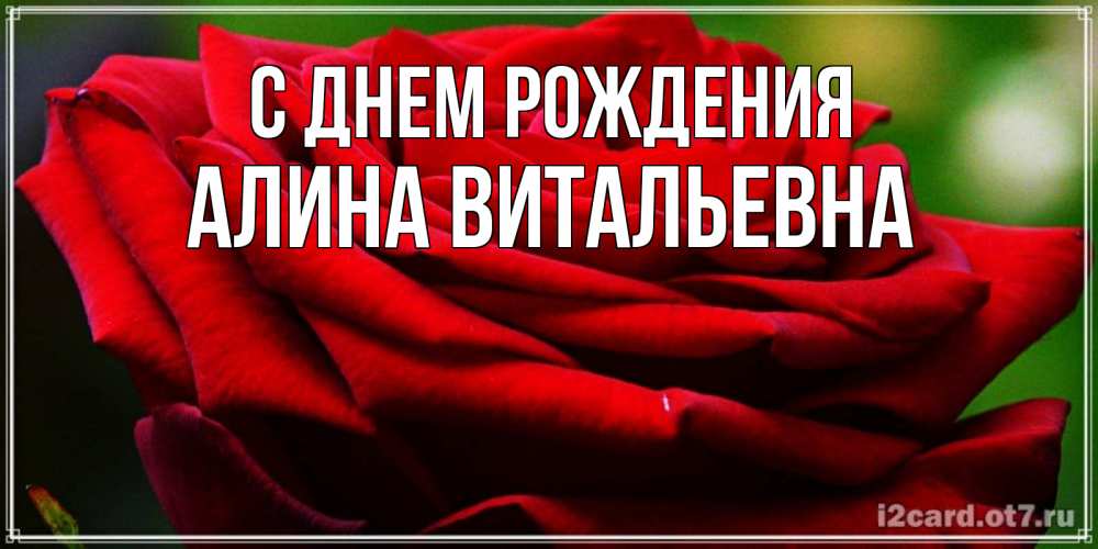 Открытка на каждый день с именем, Алина-Витальевна С днем рождения розочка очень красивая Прикольная открытка с пожеланием онлайн скачать бесплатно 