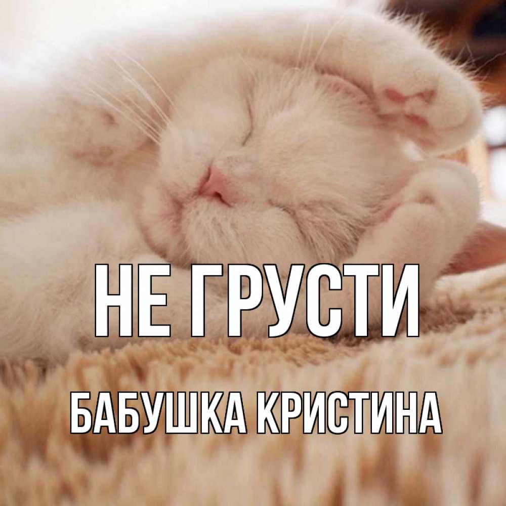 Открытка на каждый день с именем, Бабушка-Кристина Не грусти белый кот Прикольная открытка с пожеланием онлайн скачать бесплатно 