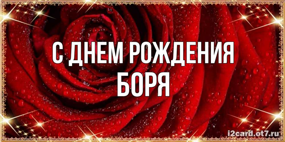 Открытка на каждый день с именем, Боря С днем рождения роса на розе блестящая в лучах солнца Прикольная открытка с пожеланием онлайн скачать бесплатно 