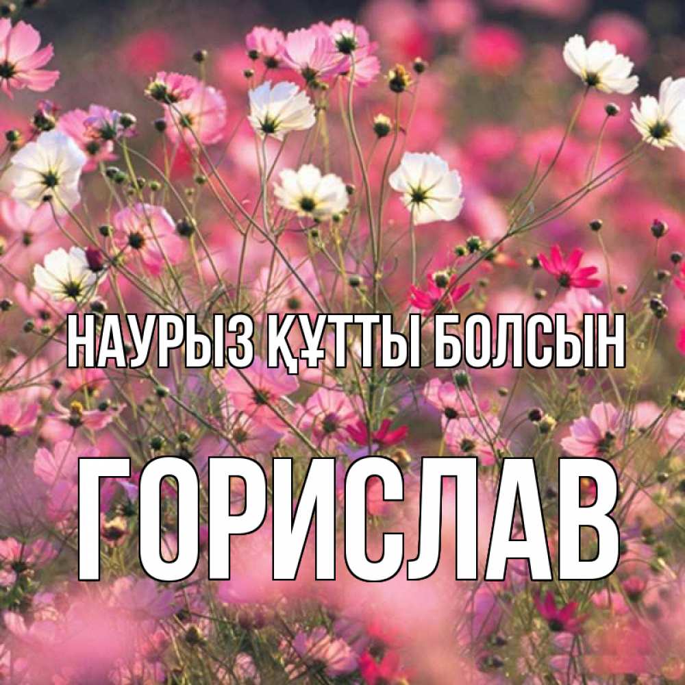 Открытка на каждый день с именем, Горислав Наурыз құтты болсын красиво 1 Прикольная открытка с пожеланием онлайн скачать бесплатно 