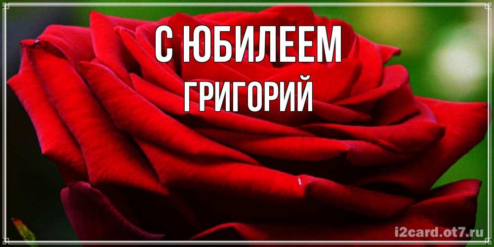Открытка на каждый день с именем, Григорий С юбилеем розочка очень красивая Прикольная открытка с пожеланием онлайн скачать бесплатно 