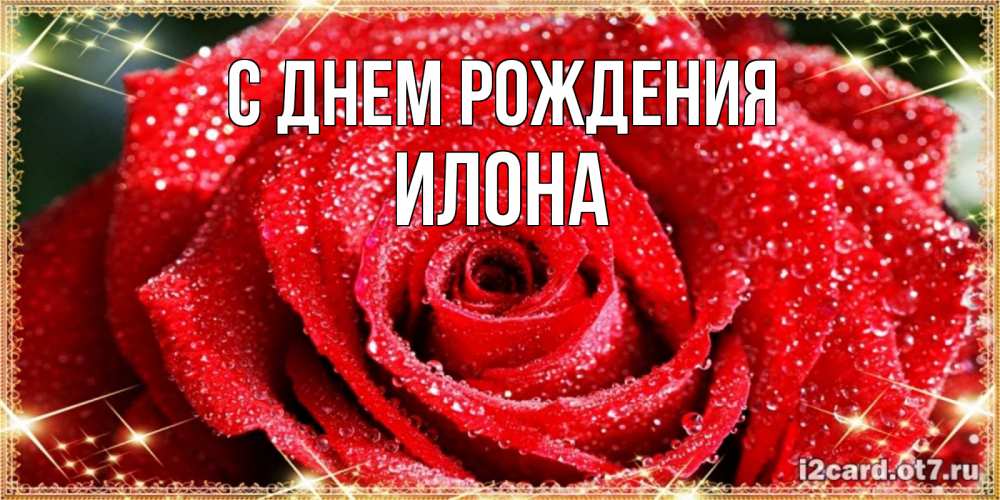 Открытка на каждый день с именем, Илона С днем рождения роса и роза. открытка с красивой розой Прикольная открытка с пожеланием онлайн скачать бесплатно 