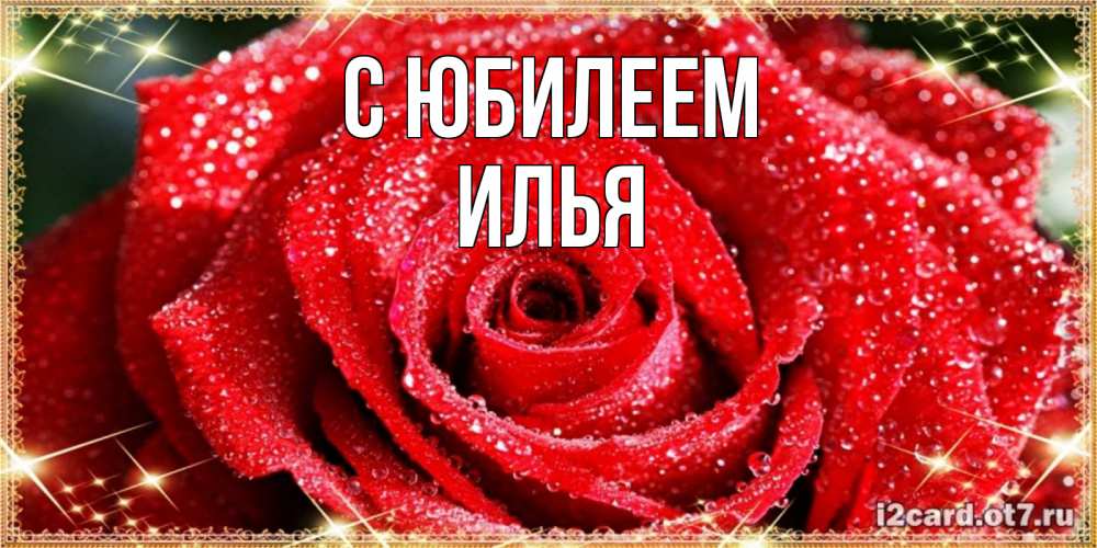 Открытка на каждый день с именем, Илья С юбилеем роса и роза. открытка с красивой розой Прикольная открытка с пожеланием онлайн скачать бесплатно 