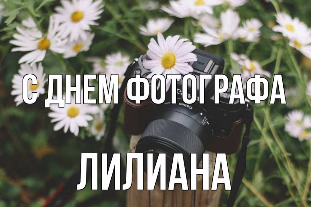Открытка на каждый день с именем, Лилиана С днем фотографа с днем фотографа Прикольная открытка с пожеланием онлайн скачать бесплатно 