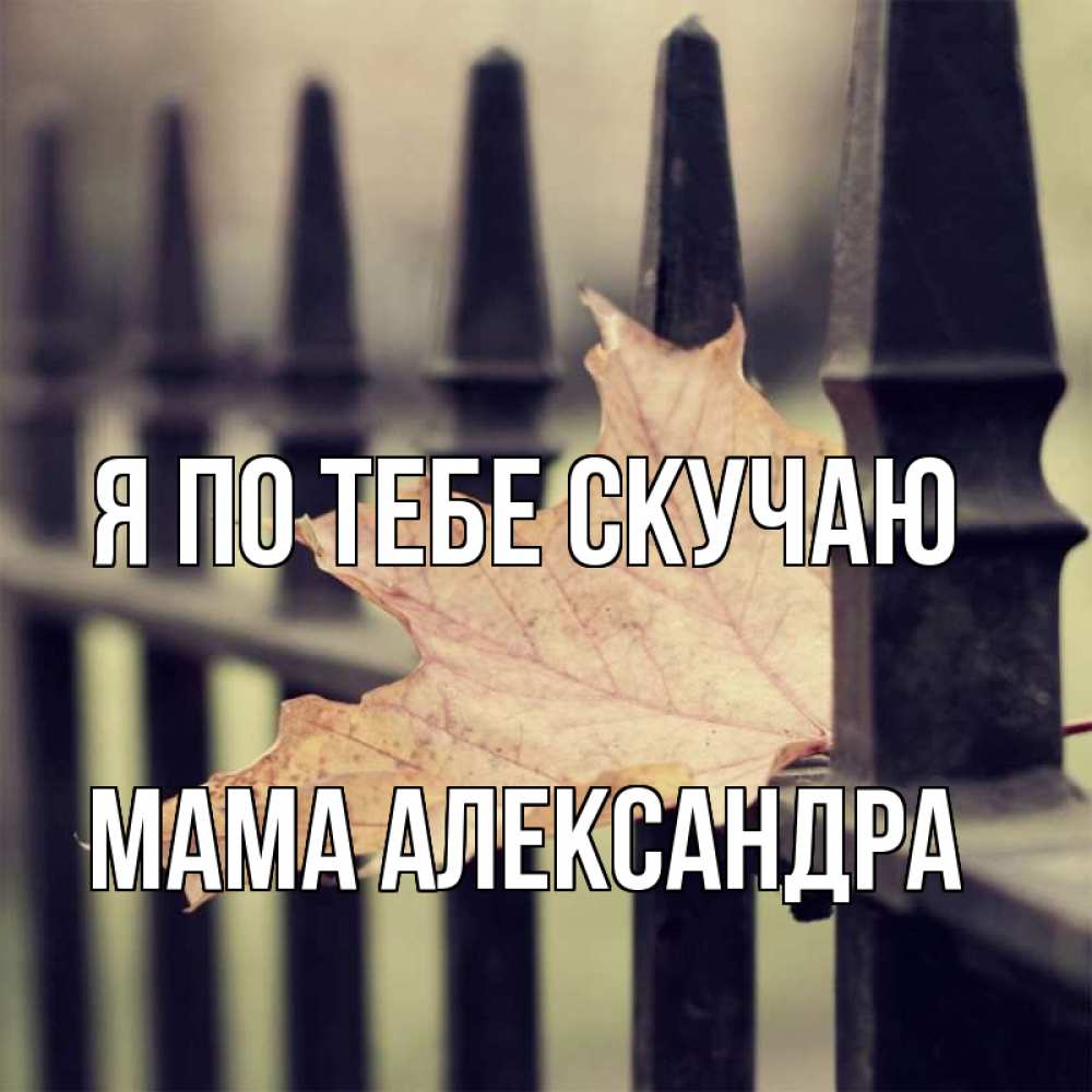 Открытка на каждый день с именем, Мама-Александра Я по тебе скучаю очень скучно Прикольная открытка с пожеланием онлайн скачать бесплатно 