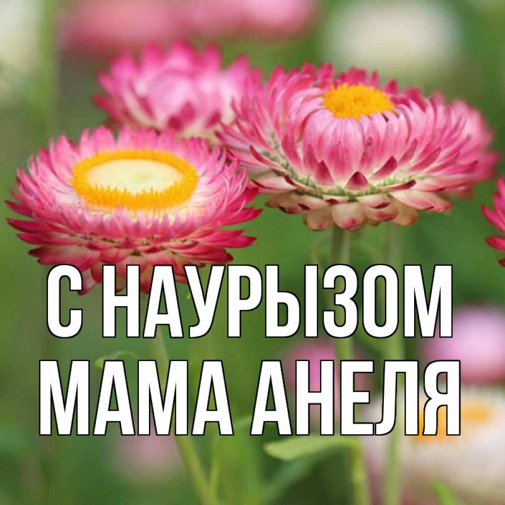 Открытка на каждый день с именем, Мама-Анеля С наурызом подарок на международный женский день Прикольная открытка с пожеланием онлайн скачать бесплатно 
