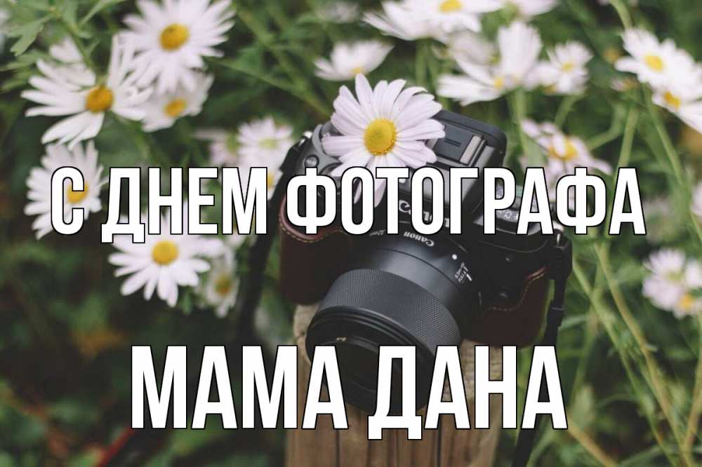 Открытка на каждый день с именем, Мама-Дана С днем фотографа с днем фотографа Прикольная открытка с пожеланием онлайн скачать бесплатно 