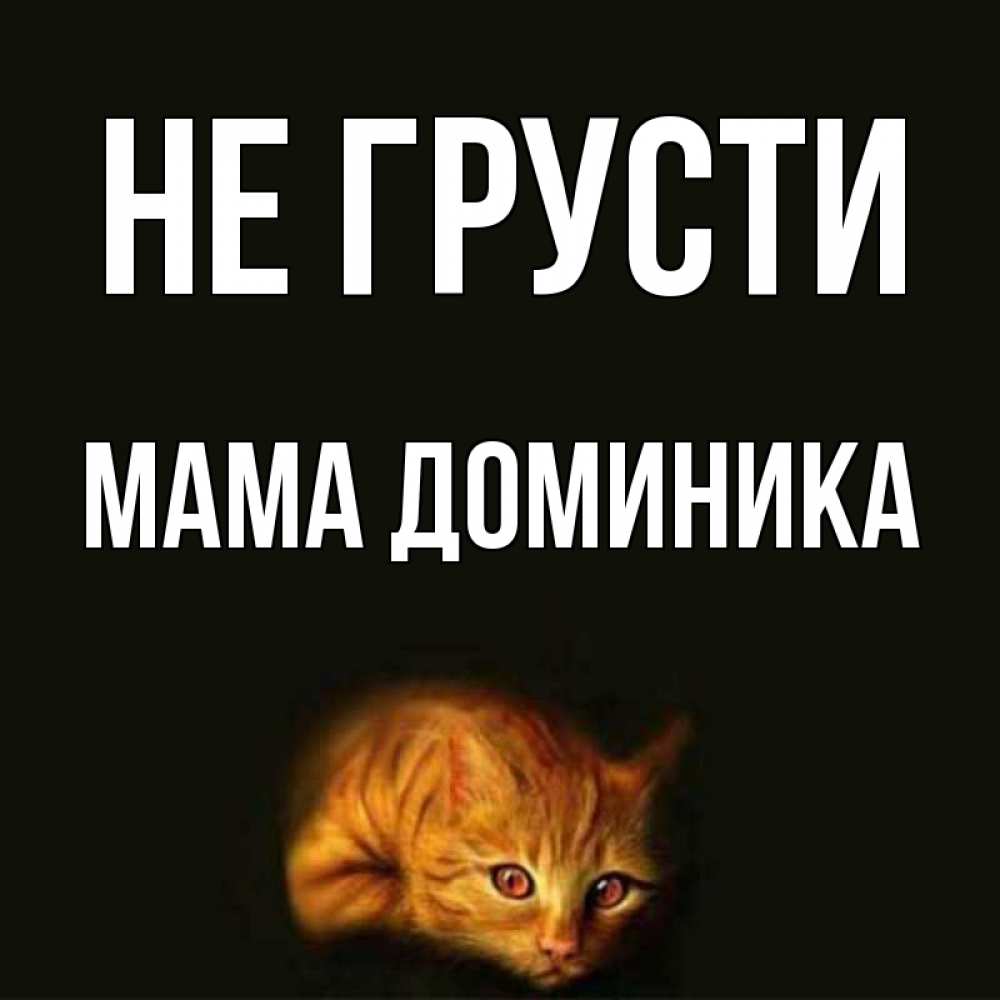Открытка на каждый день с именем, Мама-Доминика Не грусти лежащий кот в темноте Прикольная открытка с пожеланием онлайн скачать бесплатно 