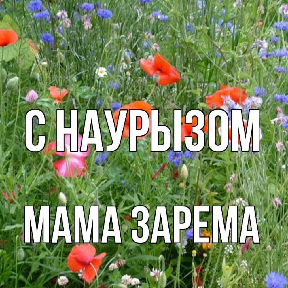 Открытка на каждый день с именем, Мама-Зарема С наурызом праздник весны наурыз супер открытка Прикольная открытка с пожеланием онлайн скачать бесплатно 