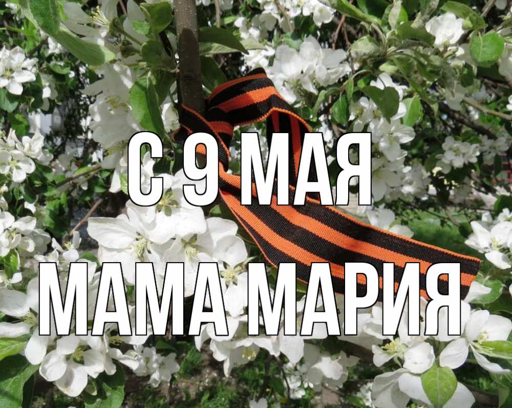Открытка на каждый день с именем, Мама-Мария С 9 мая 9 мая Прикольная открытка с пожеланием онлайн скачать бесплатно 