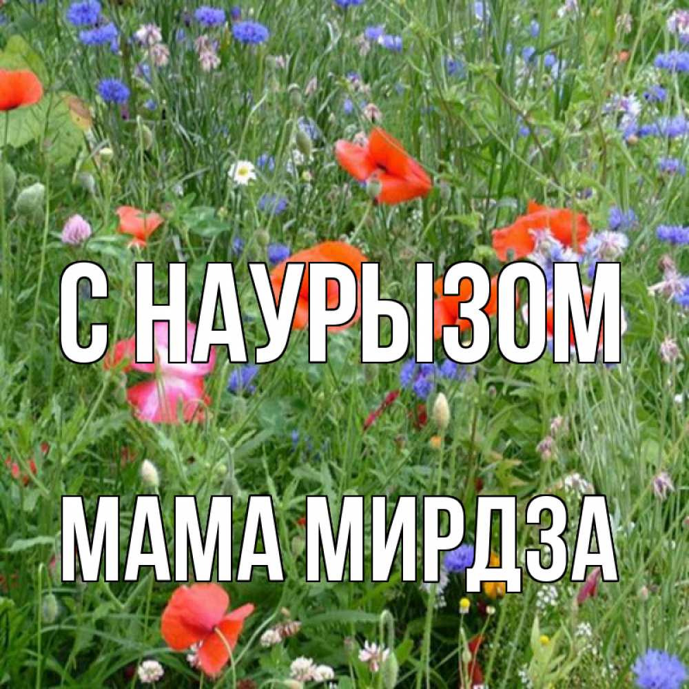 Открытка на каждый день с именем, Мама-Мирдза С наурызом праздник весны наурыз супер открытка Прикольная открытка с пожеланием онлайн скачать бесплатно 