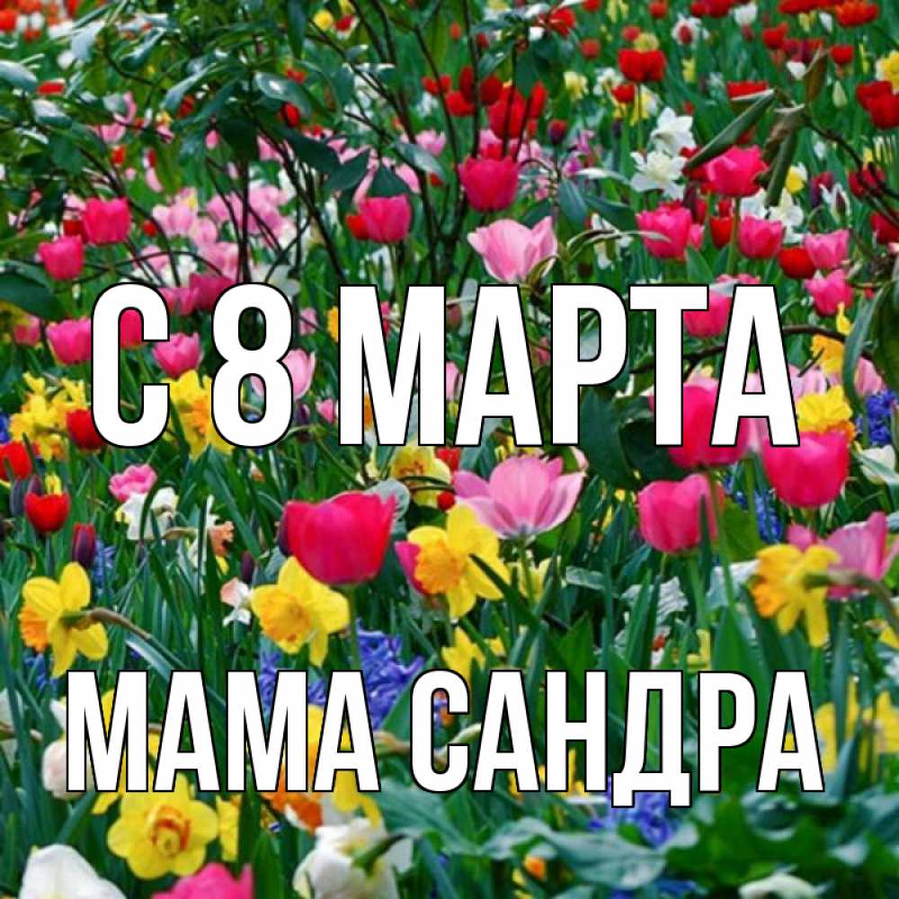 Открытка на каждый день с именем, Мама-Сандра С 8 МАРТА с международным женским днем поздравления для женщины Прикольная открытка с пожеланием онлайн скачать бесплатно 