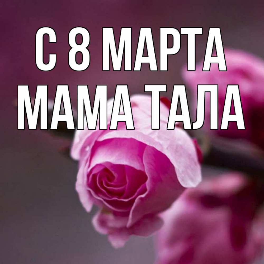 Открытка на каждый день с именем, Мама-Тала С 8 МАРТА весна Прикольная открытка с пожеланием онлайн скачать бесплатно 