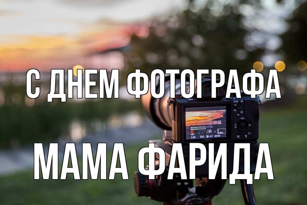 Открытка на каждый день с именем, Мама-Фарида С днем фотографа с днем фотографа Прикольная открытка с пожеланием онлайн скачать бесплатно 