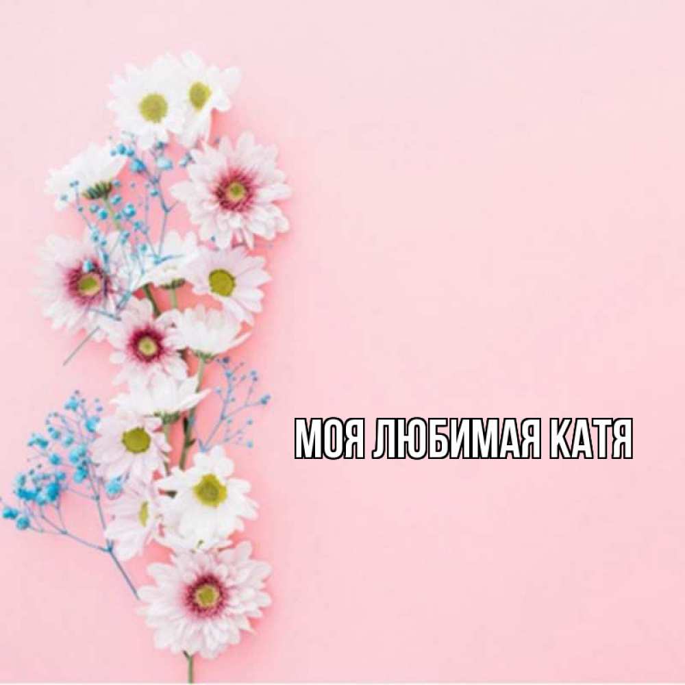 Открытка на каждый день с именем, Моя-любимая-Катя Главная цветы с подписью Прикольная открытка с пожеланием онлайн скачать бесплатно 