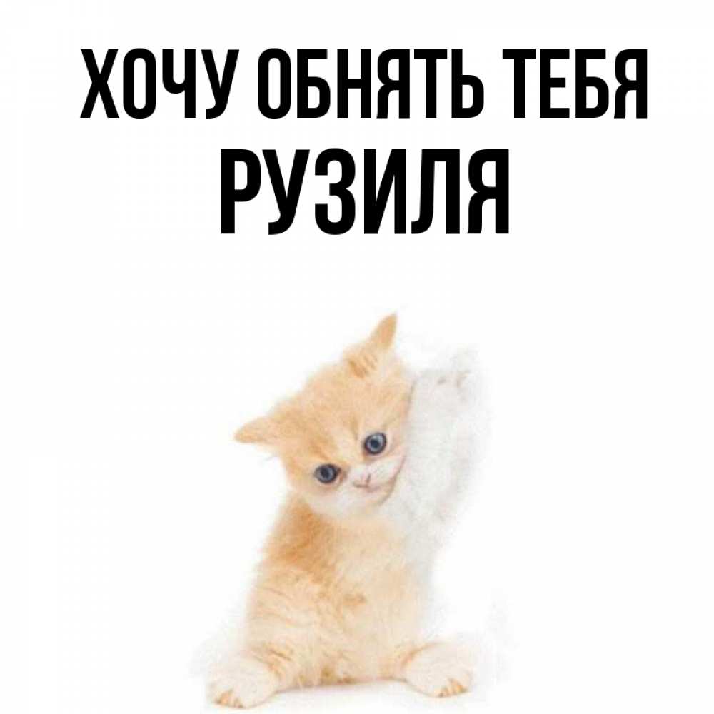 Открытка на каждый день с именем, Рузиля Хочу обнять тебя я хочу очень скорее обнимаешек Прикольная открытка с пожеланием онлайн скачать бесплатно 
