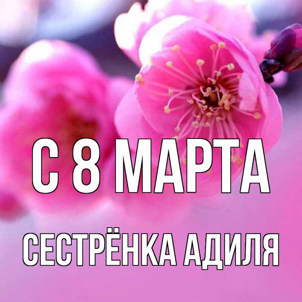 Открытка на каждый день с именем, Сестрёнка-Адиля С 8 МАРТА международный женский день Прикольная открытка с пожеланием онлайн скачать бесплатно 