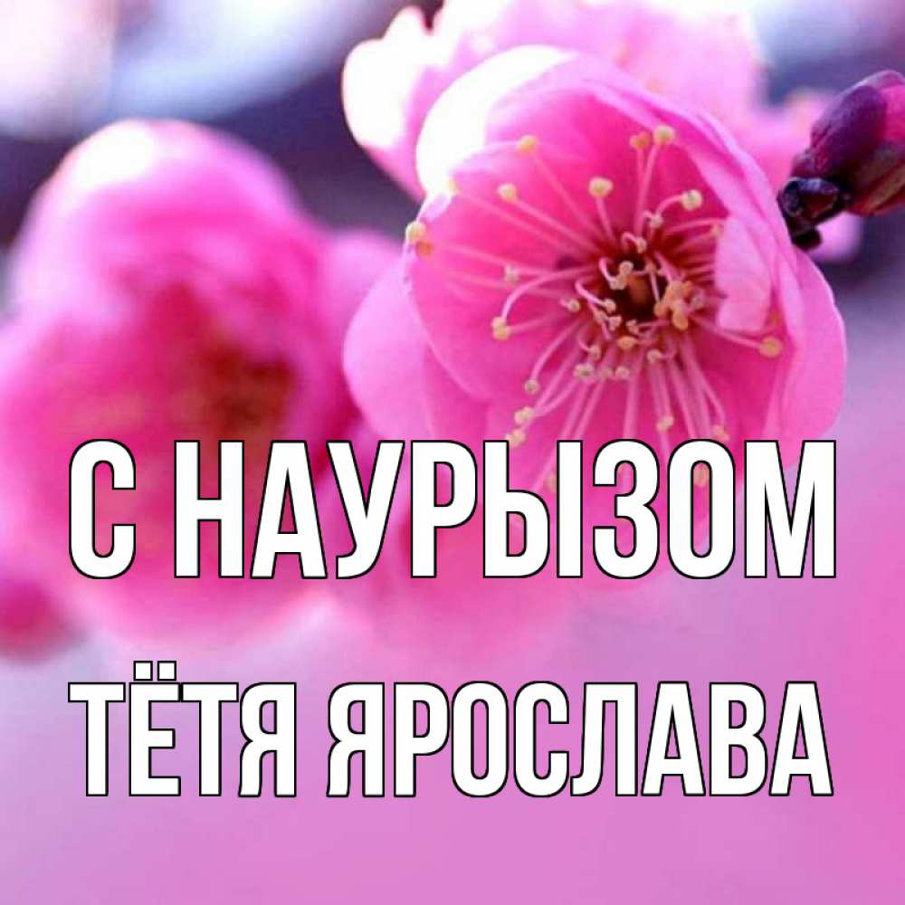 Открытка на каждый день с именем, Тётя-Ярослава С наурызом международный женский день Прикольная открытка с пожеланием онлайн скачать бесплатно 