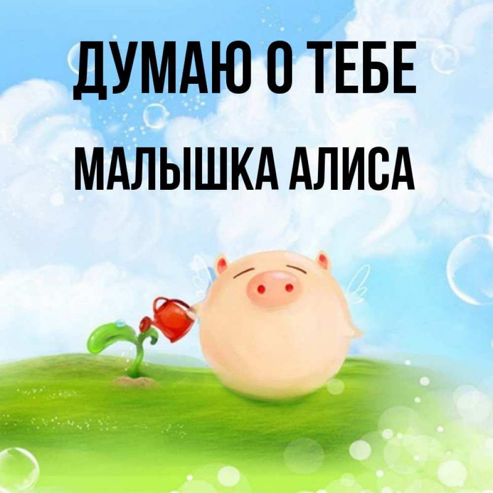 Я твой босс малышка алиса