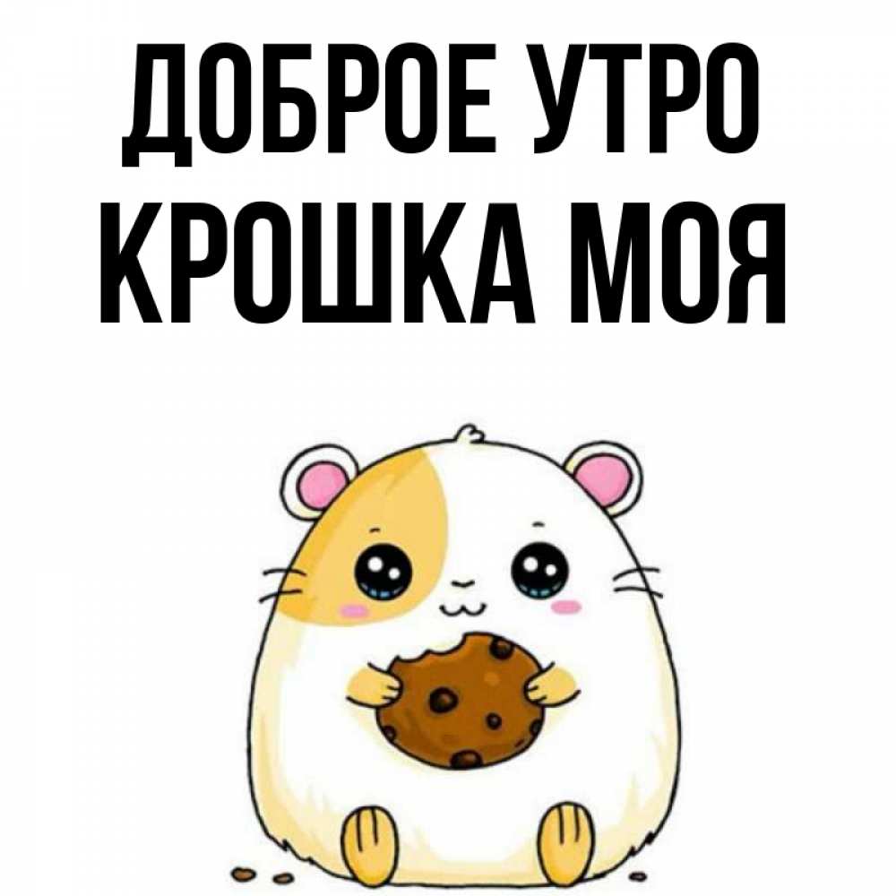 Открытка на каждый день с именем, Крошка-моя Доброе утро есть печеньку. Утречко Прикольная открытка с пожеланием онлайн скачать бесплатно 