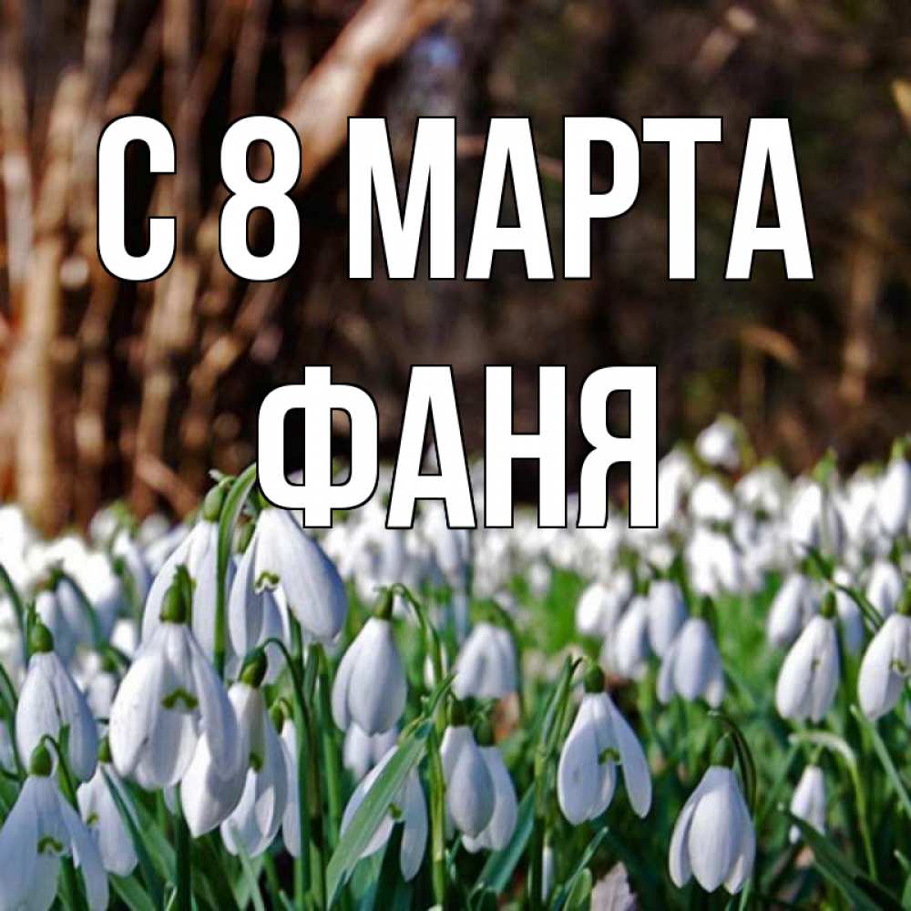 Открытка на каждый день с именем, Фаня С 8 марта с подснежниками 1 Прикольная открытка с пожеланием онлайн скачать бесплатно 