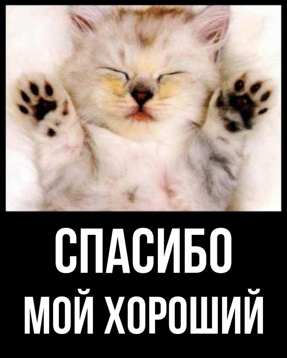 Спасибо мои хорошие картинки