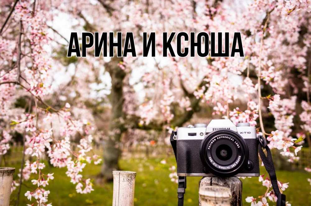 Открытка на каждый день с именем, Арина-и-Ксюша Главная сирень с днем фотографа, фотоаппарат Прикольная открытка с пожеланием онлайн скачать бесплатно 
