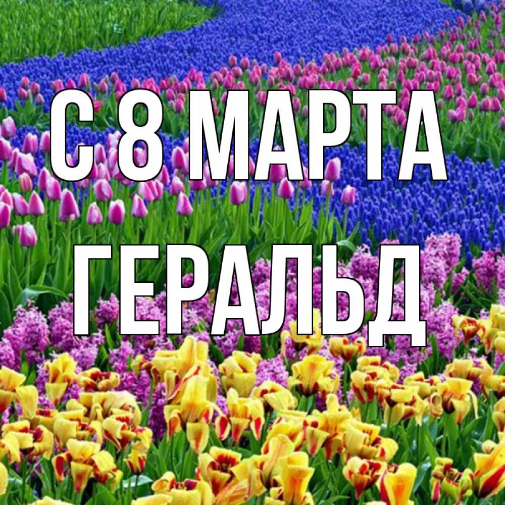 Открытка на каждый день с именем, Геральд С 8 МАРТА цветы Прикольная открытка с пожеланием онлайн скачать бесплатно 