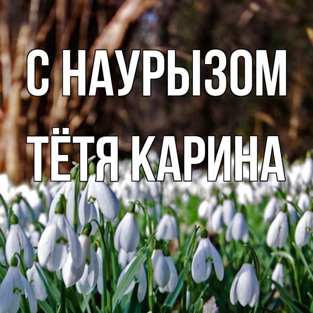 Открытка на каждый день с именем, Тётя-Карина С наурызом с подснежниками 1 Прикольная открытка с пожеланием онлайн скачать бесплатно 