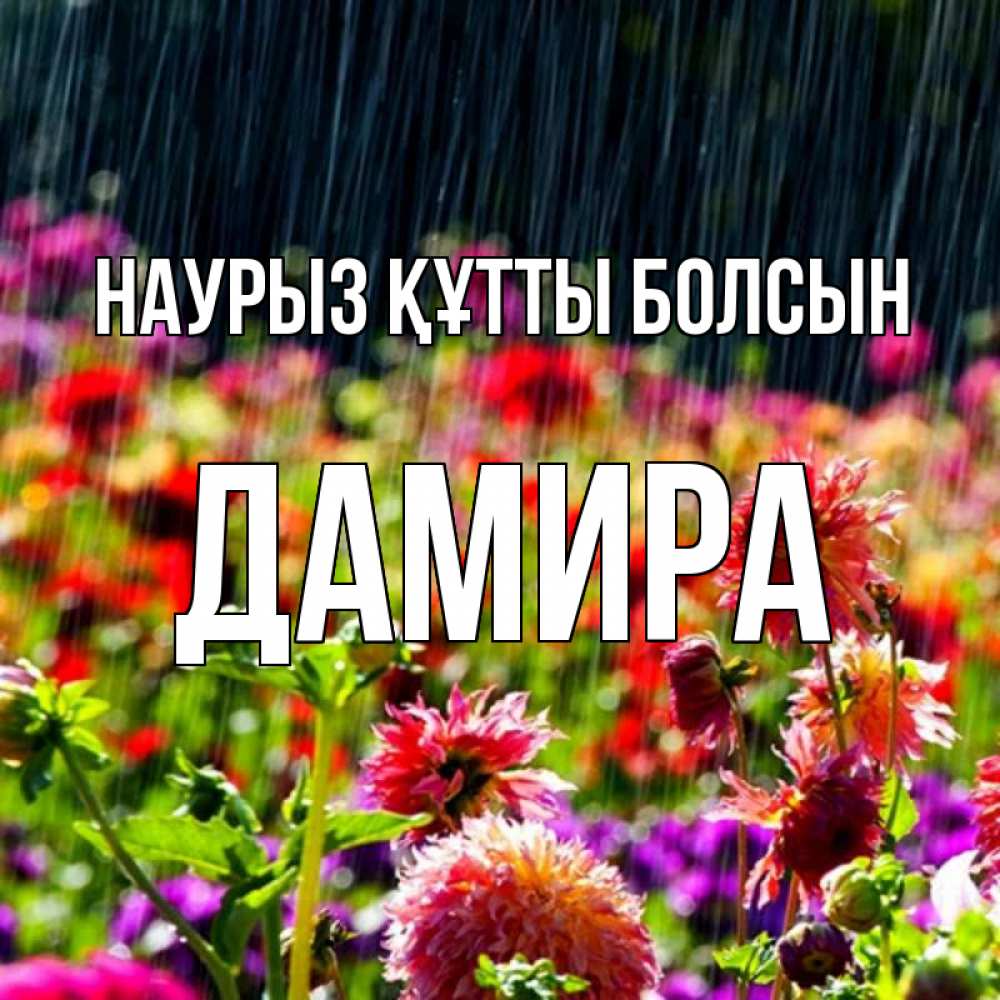 Открытка на каждый день с именем, Дамира Наурыз құтты болсын цветы под дождиком к наурызу Прикольная открытка с пожеланием онлайн скачать бесплатно 
