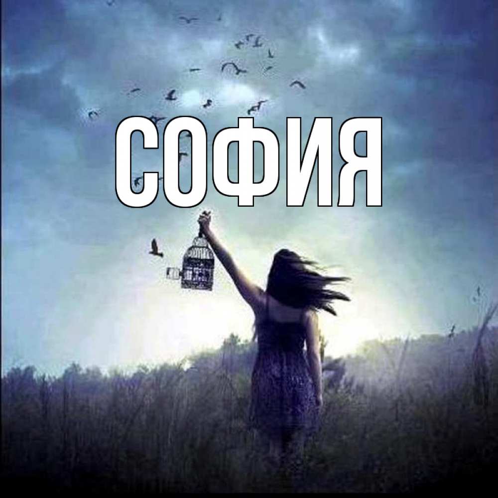 Открытка на каждый день с именем, София Главная на волю Прикольная открытка с пожеланием онлайн скачать бесплатно 