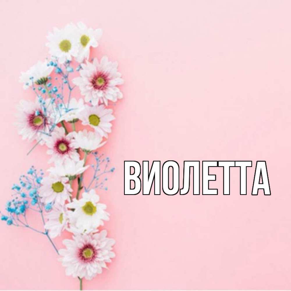 Картинки с именем виолетта