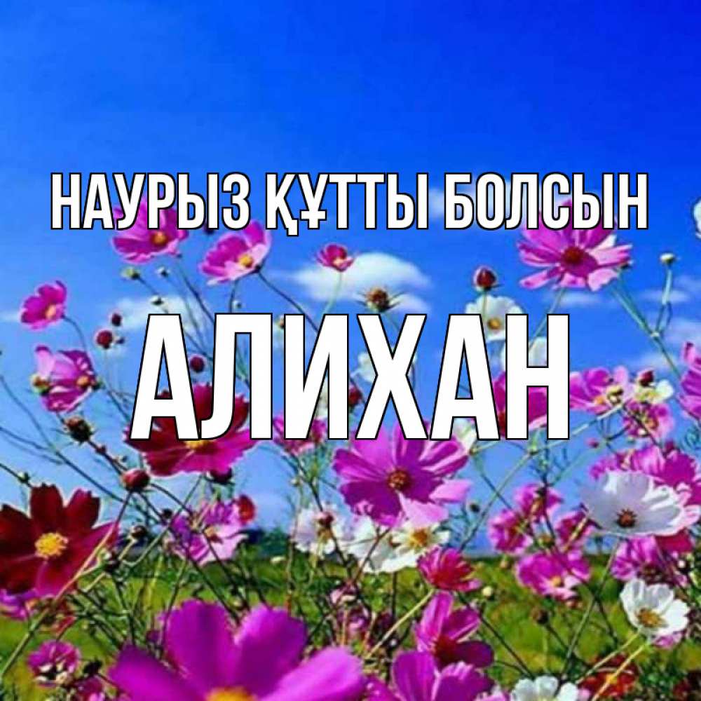 Открытка на каждый день с именем, Алихан Наурыз құтты болсын цветы Прикольная открытка с пожеланием онлайн скачать бесплатно 