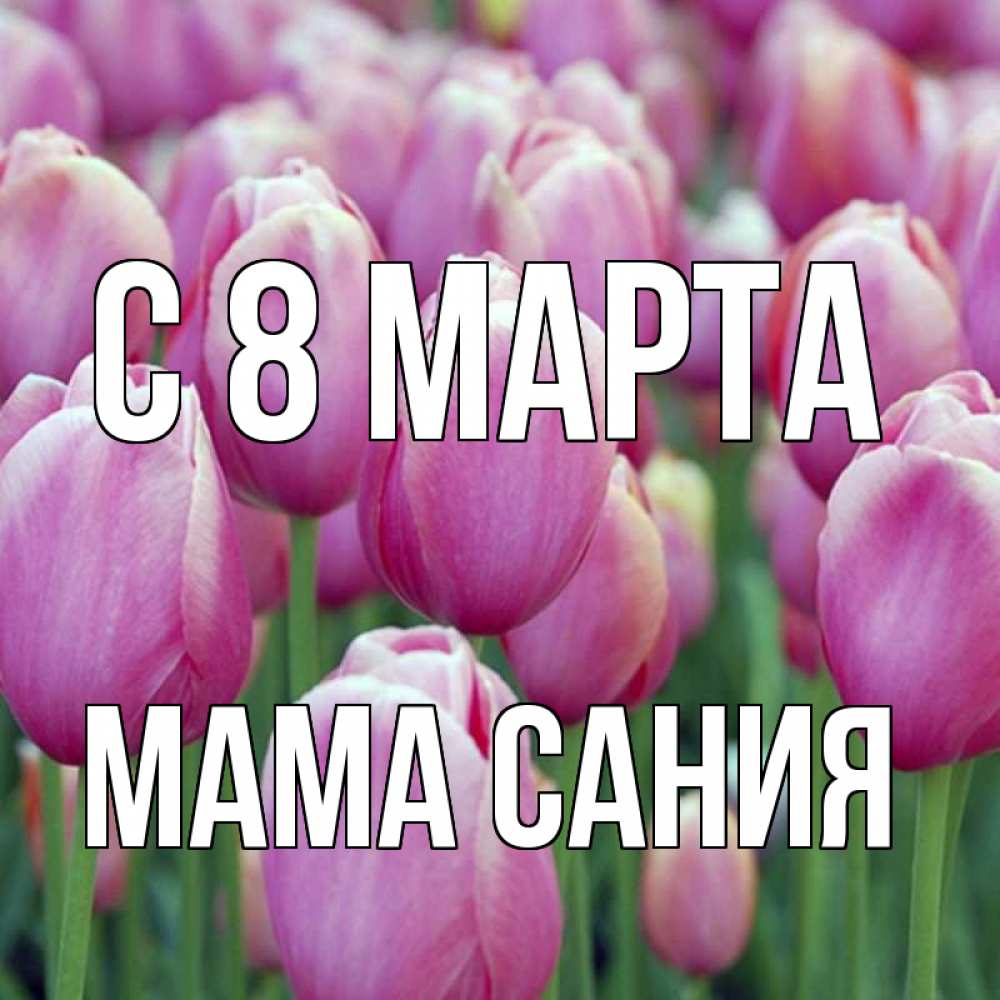 Открытка на каждый день с именем, Мама-Сания С 8 марта на международный женский день 3 Прикольная открытка с пожеланием онлайн скачать бесплатно 