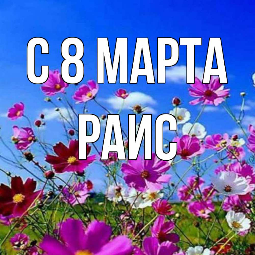 Открытка на каждый день с именем, Раис С 8 МАРТА цветы Прикольная открытка с пожеланием онлайн скачать бесплатно 