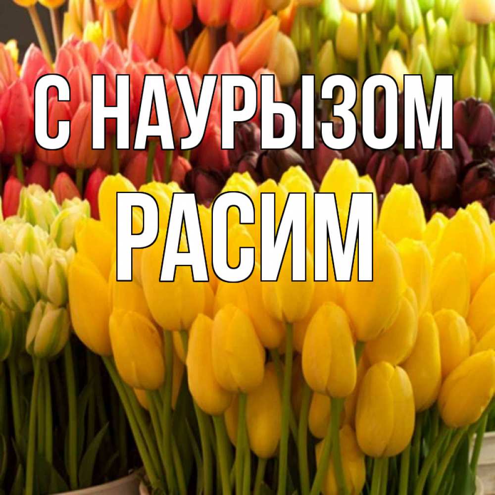 Открытка на каждый день с именем, Расим С наурызом цветы Прикольная открытка с пожеланием онлайн скачать бесплатно 