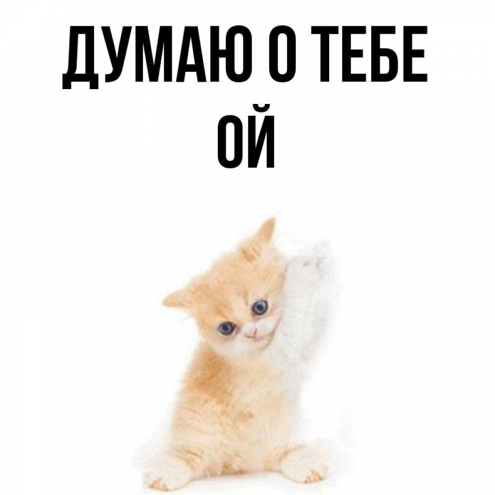 Имя ой