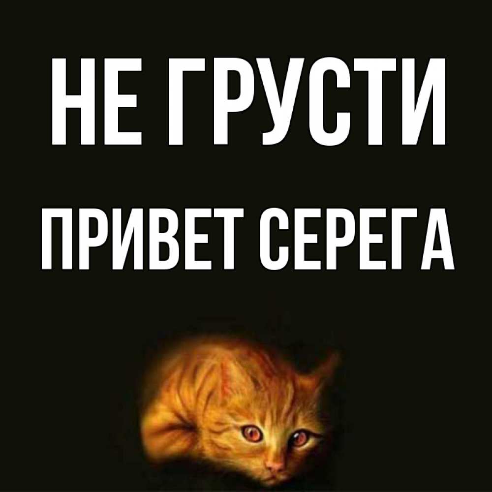 Привет серега