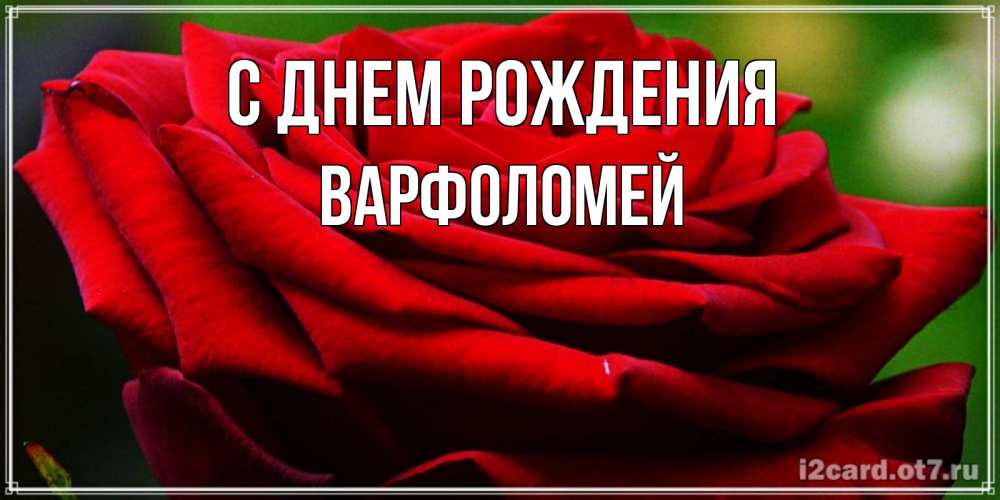 Открытка на каждый день с именем, Варфоломей С днем рождения розочка очень красивая Прикольная открытка с пожеланием онлайн скачать бесплатно 