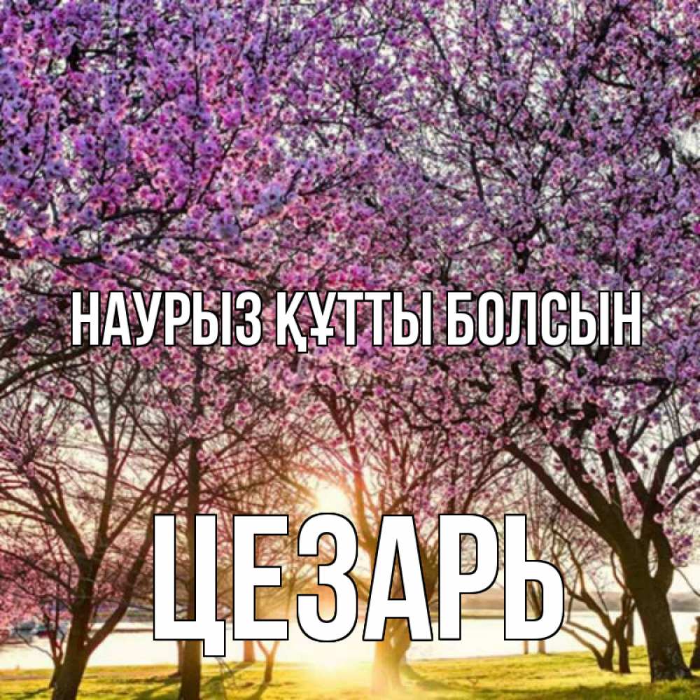 Открытка на каждый день с именем, Цезарь Наурыз құтты болсын наурыз Прикольная открытка с пожеланием онлайн скачать бесплатно 