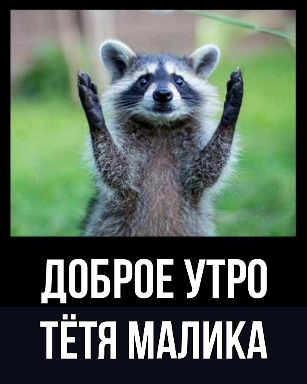 Открытка на каждый день с именем, Тётя-Малика Доброе утро хорошее настроение утречком Прикольная открытка с пожеланием онлайн скачать бесплатно 