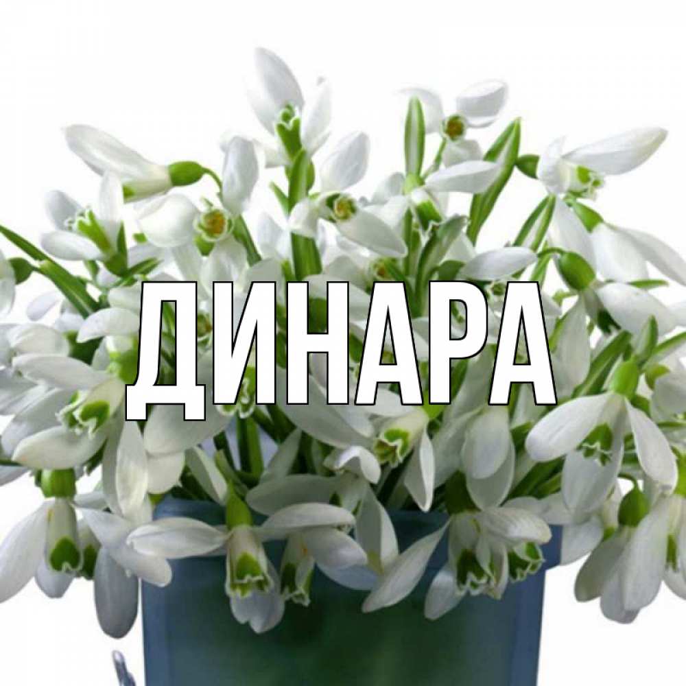 Открытка на каждый день с именем, Динара Главная цветы к наурызу новый год в Казахстане Прикольная открытка с пожеланием онлайн скачать бесплатно 