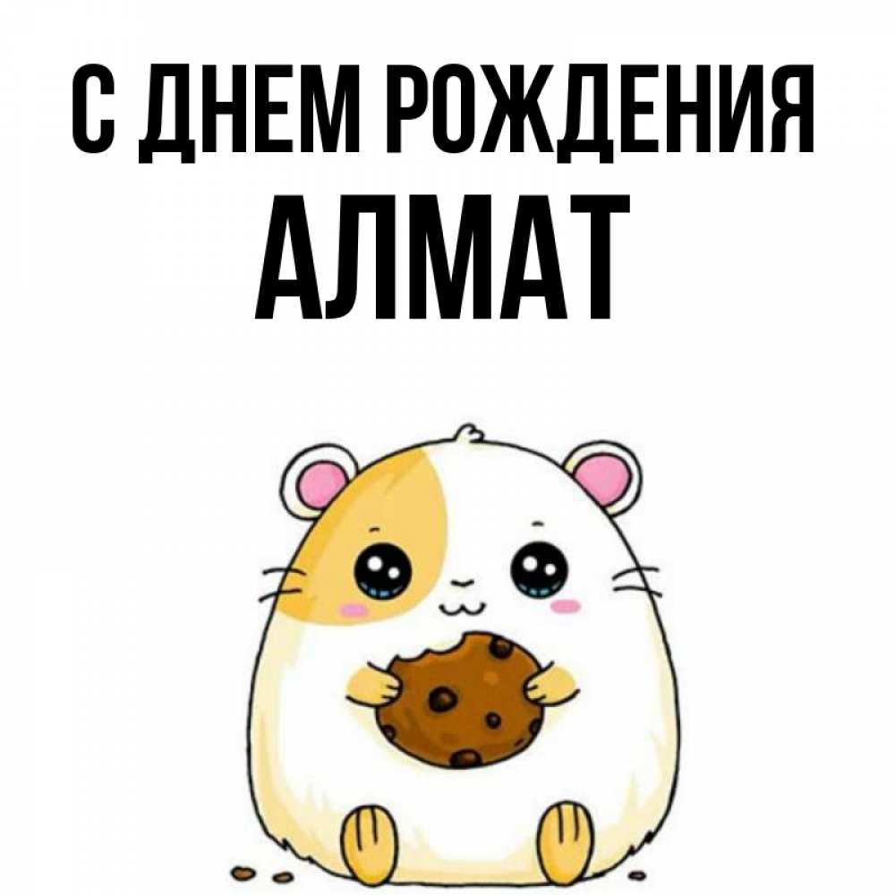 С днем рождения. Поздравления с днем рождения цветы. С днем рождения. С днем рождения алма. Альма с днем рождения.