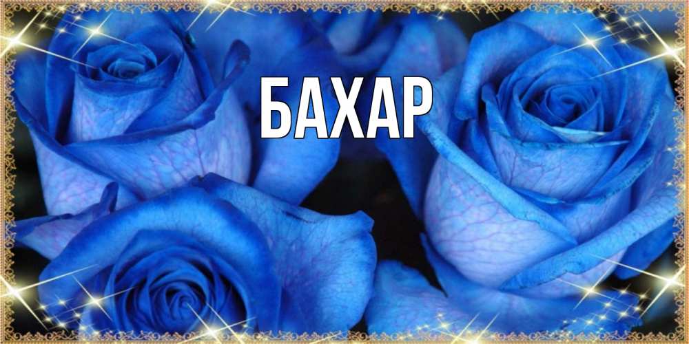 Открытка на каждый день с именем, Бахар Главная красивые розы для милых дам на международный праздник весны наурыз Прикольная открытка с пожеланием онлайн скачать бесплатно 